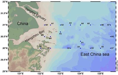 Water masses influence the variation of microbial communities in the Yangtze River Estuary and its adjacent waters
